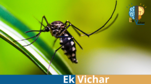 मलेरिया के लक्षण,कारण, एवं  आयुर्वेदिक घरेलु इलाज हिंदी में(Hindi me)