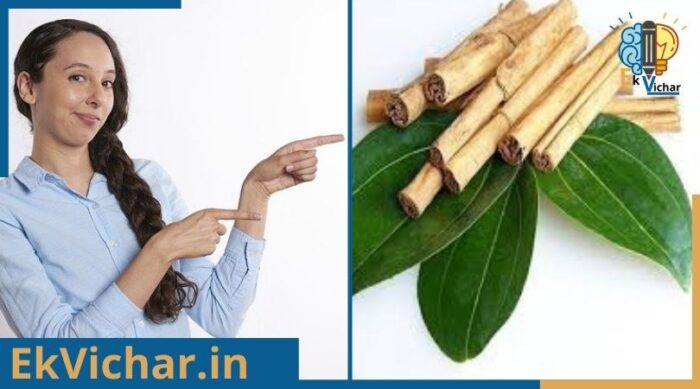 दालचीनी के फायदे