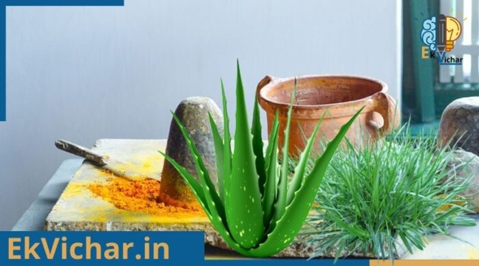 सफेद दाग निवारण हेतु घरेलू एवं आयुर्वेदिक उपाय