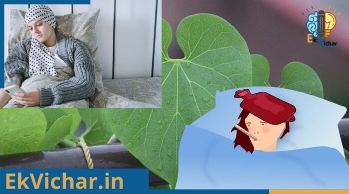 गिलोय के फायदे एवं आयुर्वेदिक उपचार ?