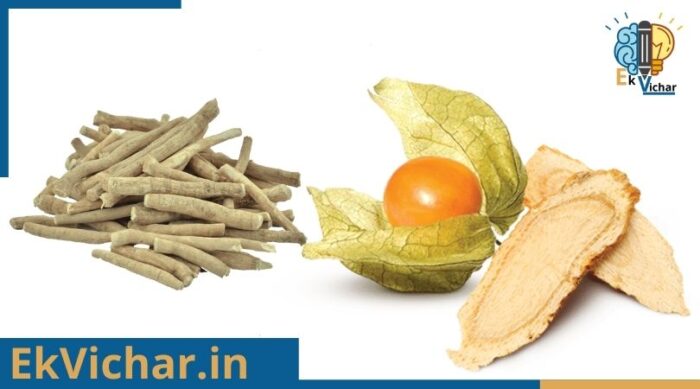 अश्वगंधा के फायदे