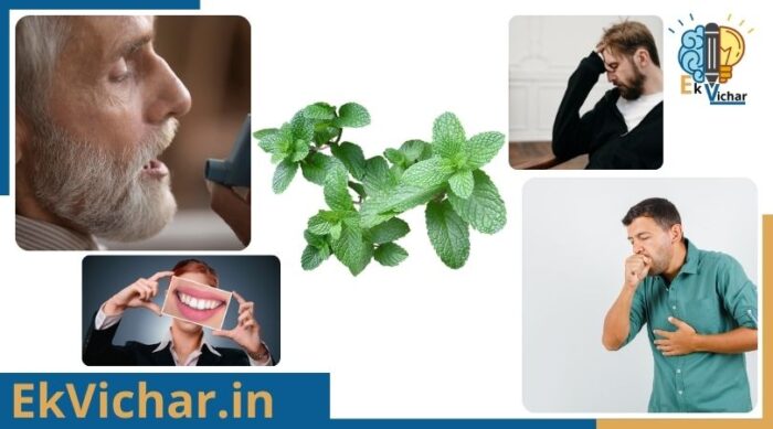 पुदीना के फायदे?